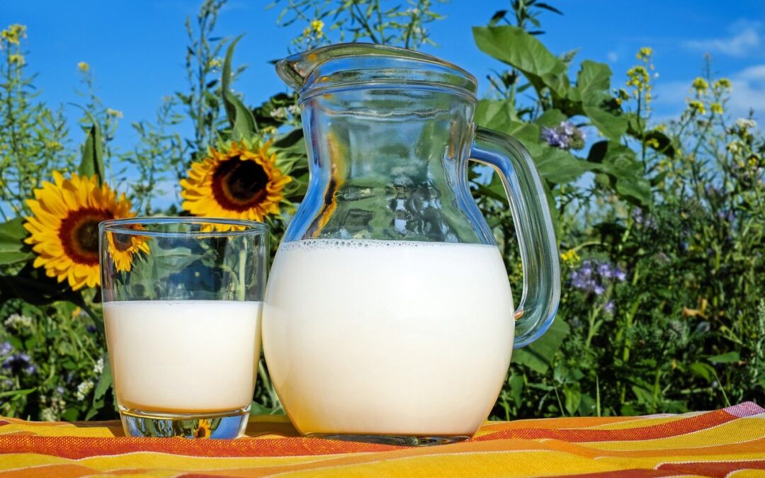 Sery i produkty mleczne używane w cukiernictwie